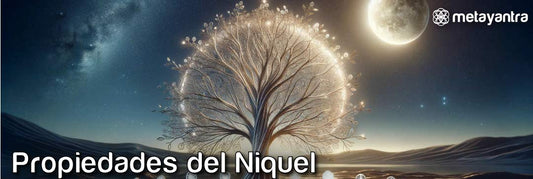 El Legado del Níquel: Entre la Magia y la Modernidad - Metayantra México