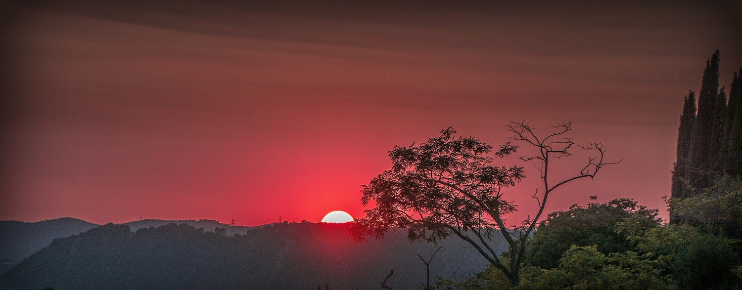 El Solsticio de Invierno, abraza tu sombra - Metayantra México