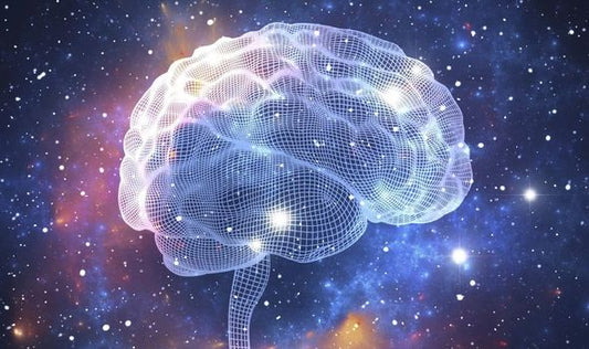 Las Ondas Cerebrales y el Neurófono - Metayantra México