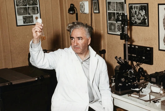 Orgonita Real vs Falsa: La Ciencia de Wilhelm Reich que Nadie Te Cuenta (2026) - Metayantra México