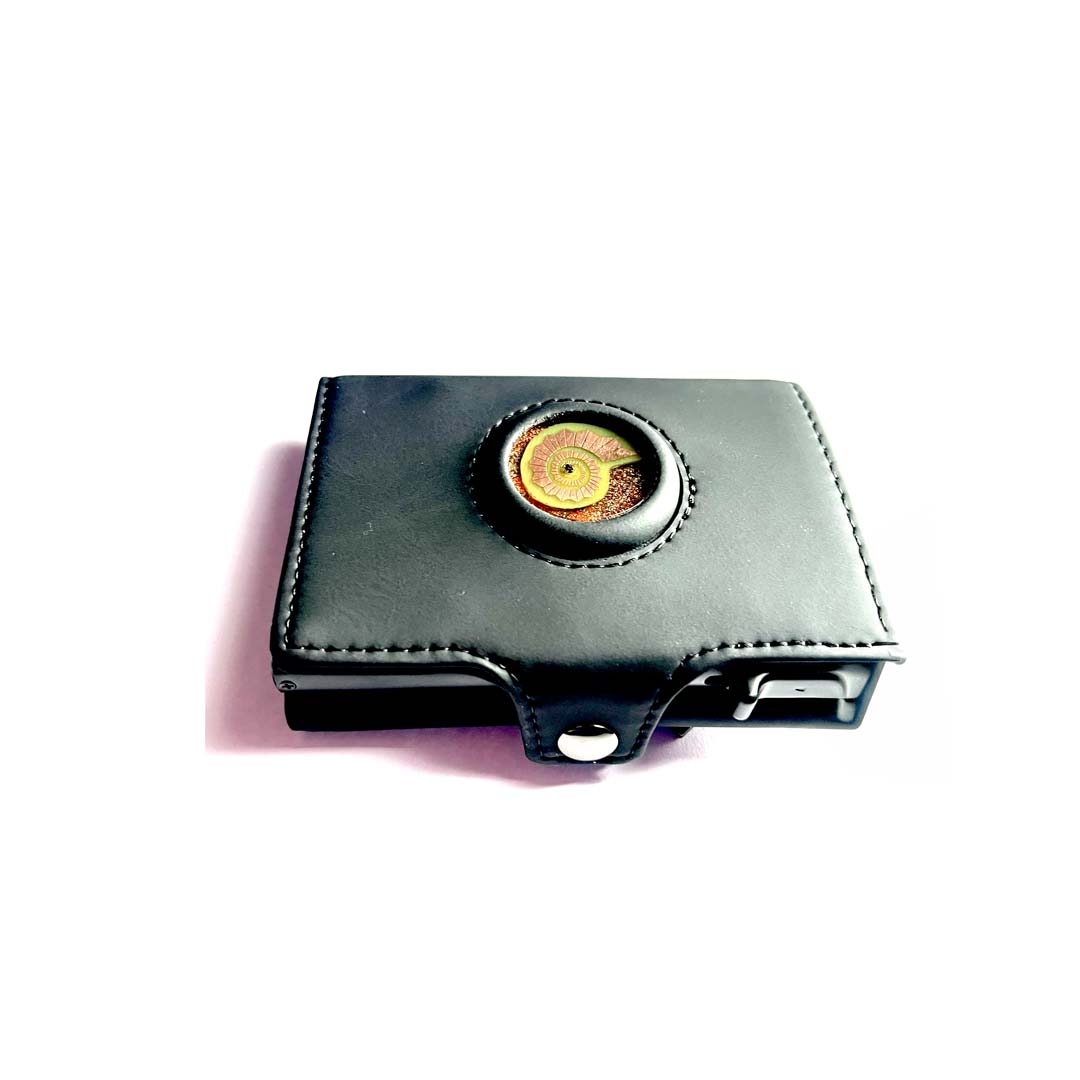 Cartera Energética Multiplicadora de Abundancia - Metayantra México