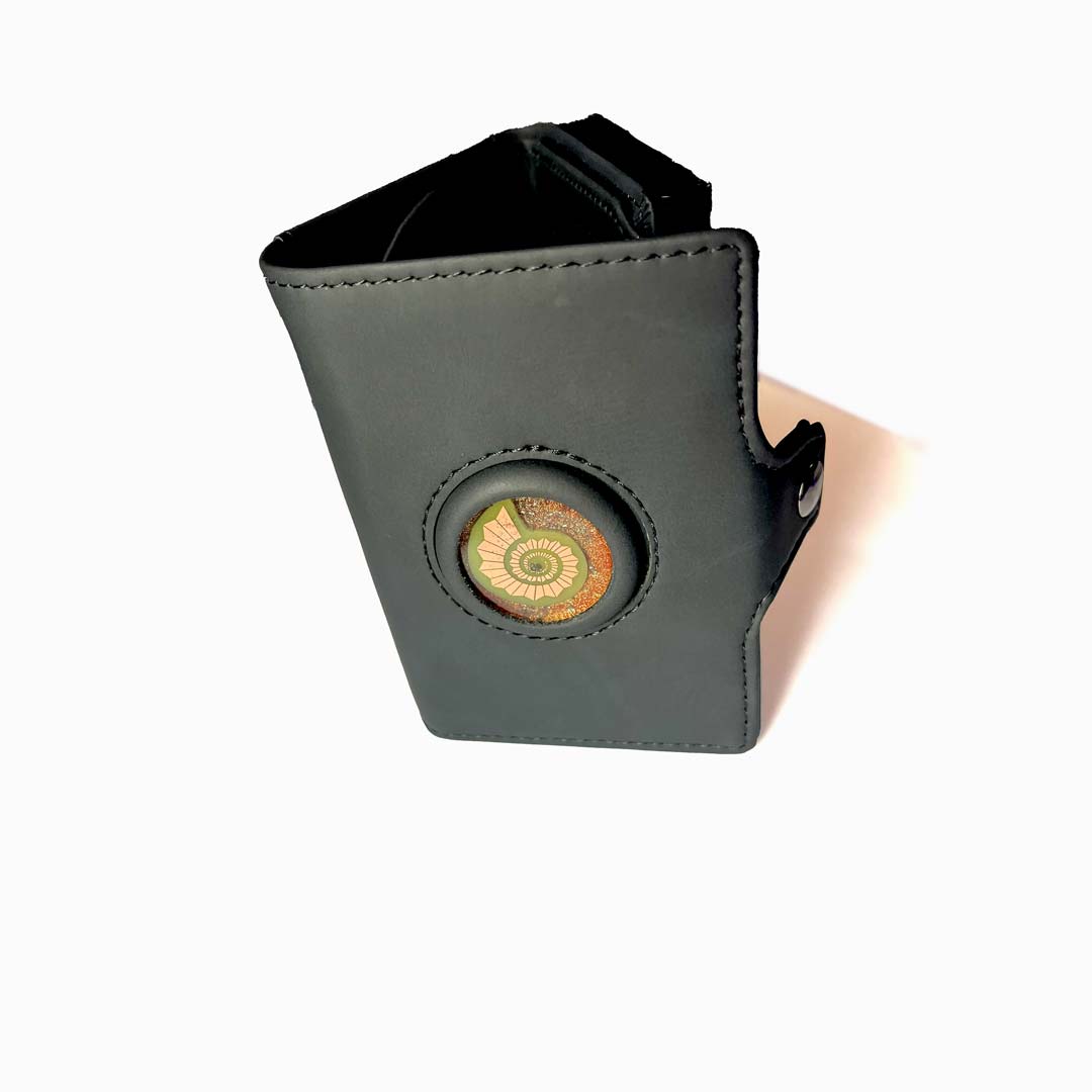 Cartera Energética Multiplicadora de Abundancia - Metayantra México