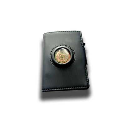 Cartera Energética Multiplicadora de Abundancia - Metayantra México