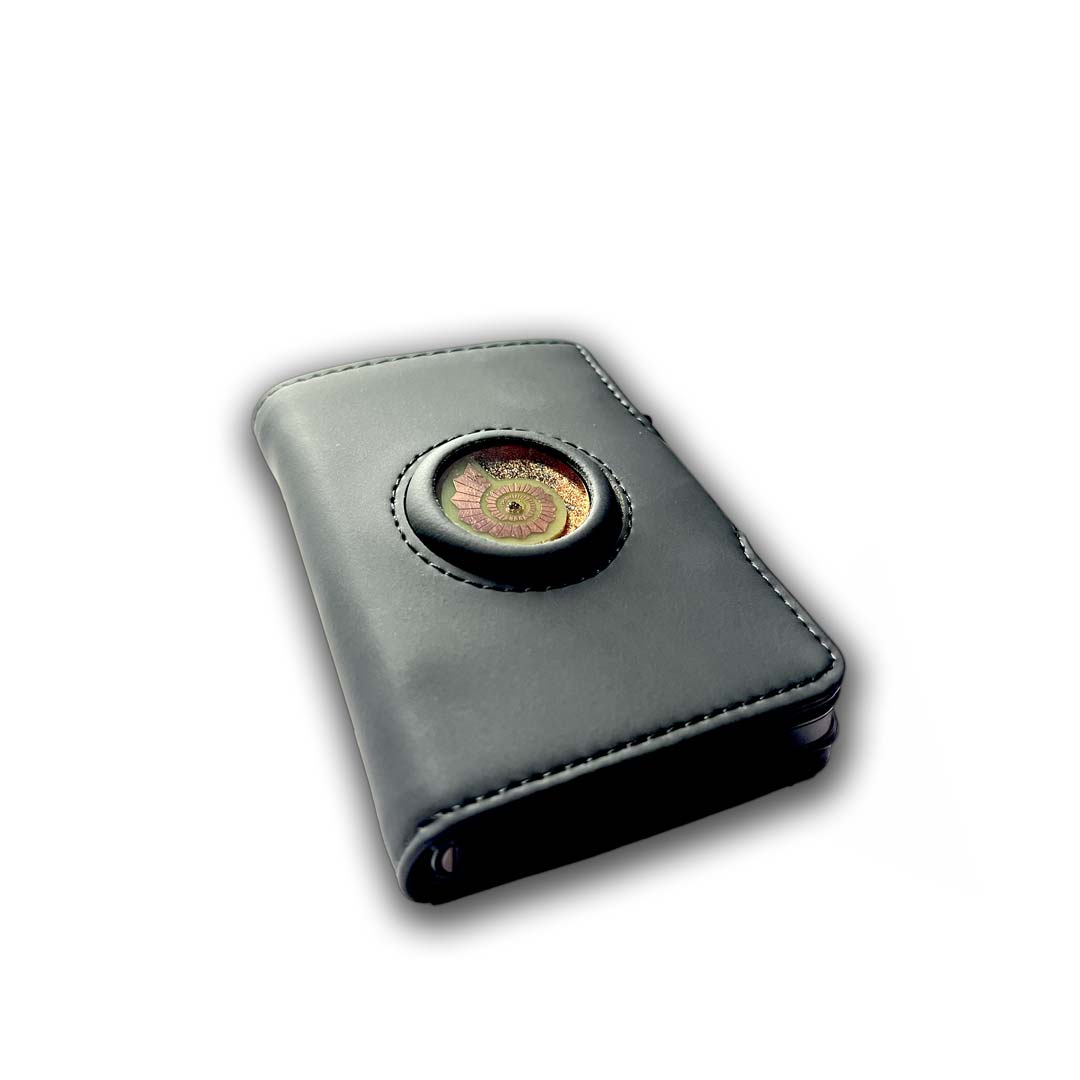 Cartera Energética Multiplicadora de Abundancia - Metayantra México