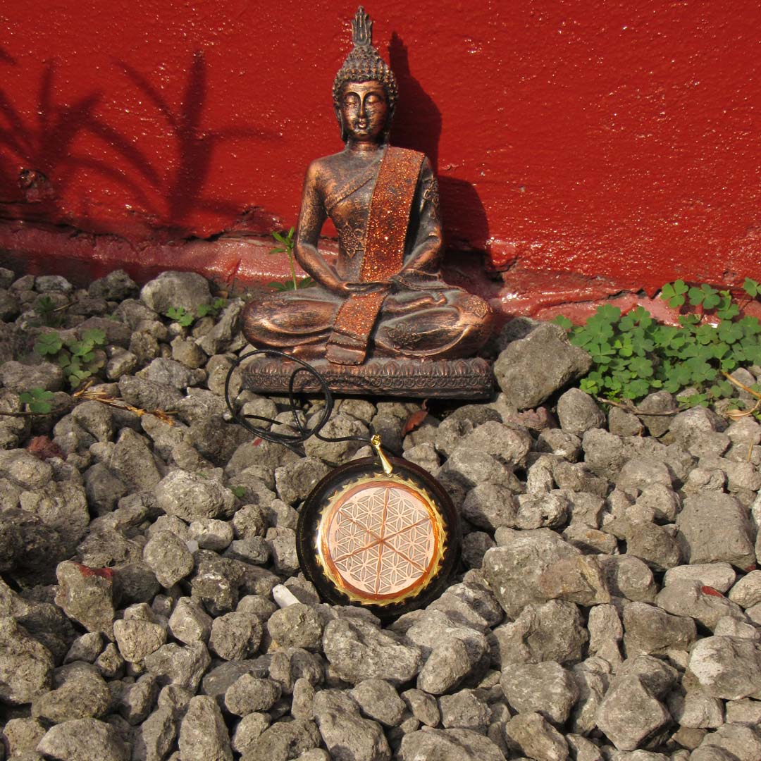 Collar Cuántico Flor de la Vida: Concentra Voluntad y Energía - Metayantra México