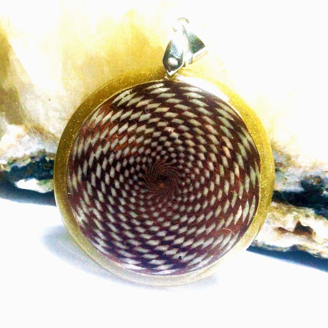 Collar Sensor Cósmico: Energía, Protección y Desempeño Físico - Metayantra México