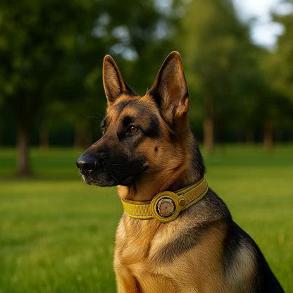 Collar Sensor Cósmico para Perro Metayantra: Protección Energética y Armonía para Perros - Metayantra México