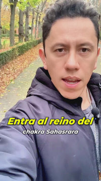 Collar Orgonita Resonador Cuántico Sahasrara para Consciencia