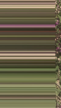 Resonador Cuántico 5° Chakra Vishuddha