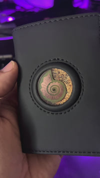 Cartera Energética Multiplicadora de Abundancia