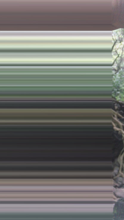 Collar Resonador Cuántico 6° Chakra Ajna - Despierta tu Intuición