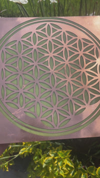 MEGA Intencionador de la Flor de la Vida  20 x 20