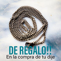 Genérica Acero (Gratis comprando tu collar)