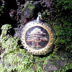 Collar de Orgonita Purificador Árbol de Cedro Libanés - Metayantra México