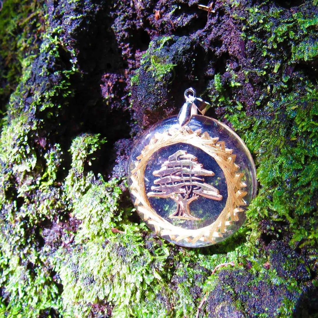 Collar de Orgonita Purificador Árbol de Cedro Libanés - Metayantra México