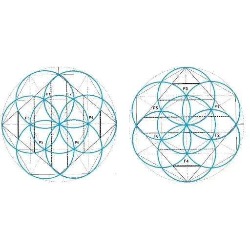 Conector CÇüsmico Universal - Portal de CreaciÇün Metayantra - Metayantra MǸxico