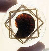 Thumbnail for Dispositivo para la RegeneraciÇün Espiritual Amonita 8 Vortex - Metayantra MǸxico