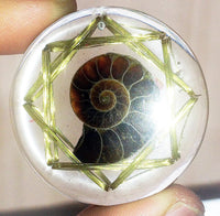 Thumbnail for Dispositivo para la RegeneraciÇün Espiritual Amonita 8 Vortex - Metayantra MǸxico