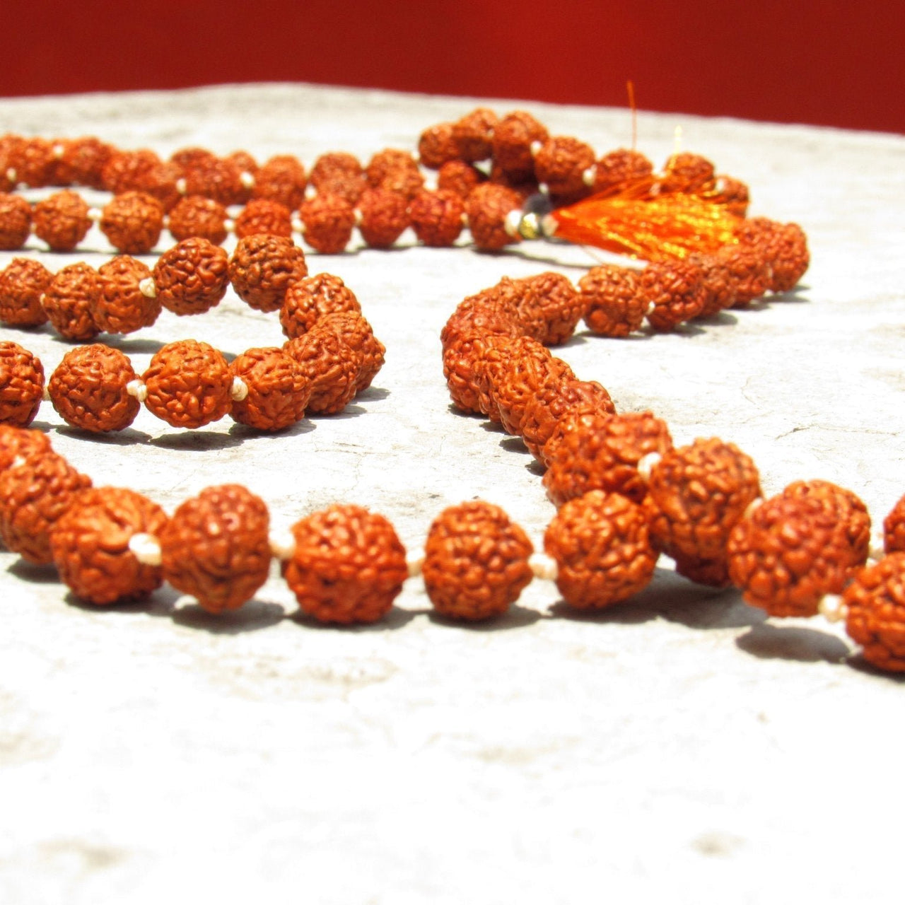 ENVǍO INMEDIATO Japa Mala de Rudraksha - Metayantra MǸxico