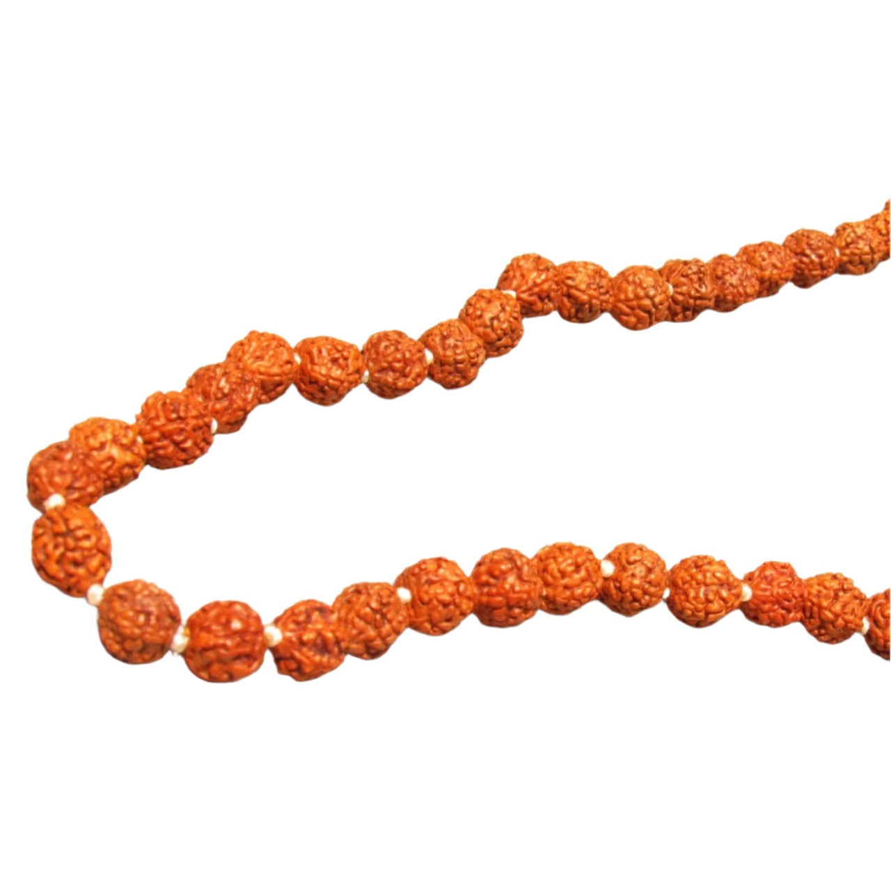 ENVǍO INMEDIATO Japa Mala de Rudraksha - Metayantra MǸxico