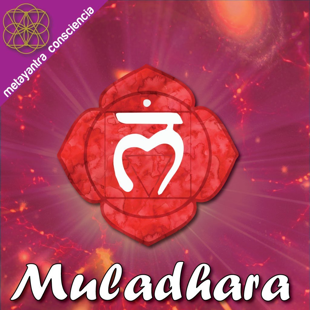 Tono IsocrÇünico Binaural para el Primer Chakra Muladhara - Metayantra MǸxico